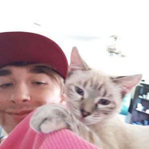 Meet your Posher, Alex